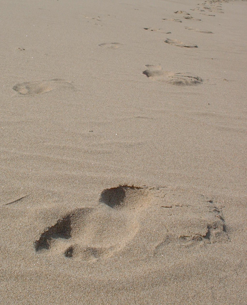 my footprints