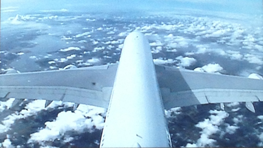 tail fin view from an A380 as we were over Finland